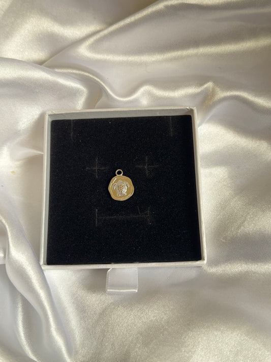 Silver turtle charm